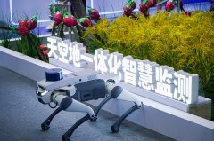 更以沉浸式体验、