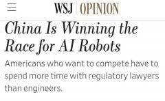 它们是吸引全球目