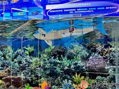 及自治区打制面向